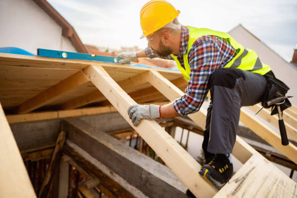 Best Roof Gutter Cleaning  in Lake Lorelei, OH